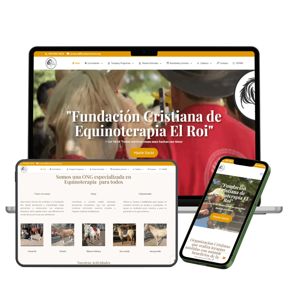 www.fundacionelroi.org